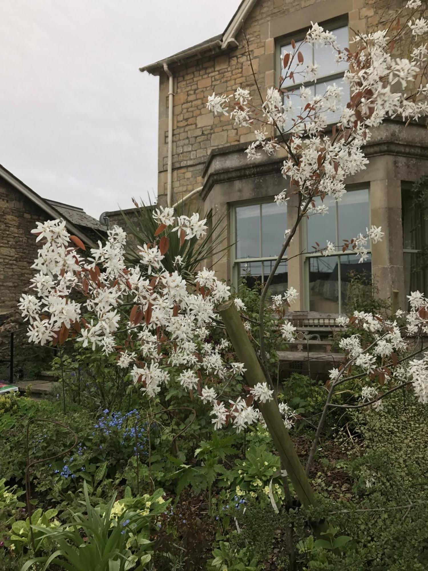 Turks Hall Bruton Exterior photo